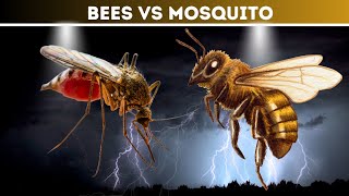 Bees vs Mosquitoes - Who Will Buzz Supreme?