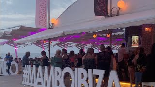 Mambo cafe Ibiza | Summer vibes | EUkids #shorts #foryou #MamboIbiza