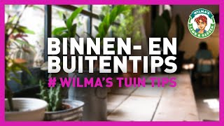 Wilma’s Tuintips - Binnen- én buitentips!