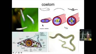 651105 ecosystem animal and plant community Part3