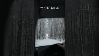 Winter drive | Nature Enthusiast | #shorts #asmr #oddlysatisfying