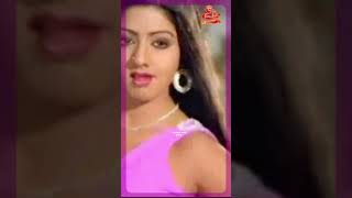 கஸ்தூரி மான் ஒன்று #shorts #sreedevi