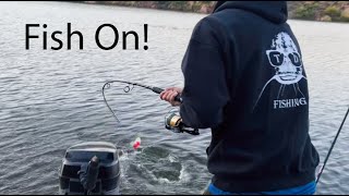 Fishing for Catfish at Bartlett Lake!