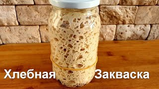 Закваска для Хлеба на Винограде с Нуля | Левито Мадре Пошаговый Рецепт