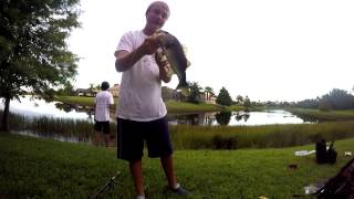 Bass Tournament Highlights #1