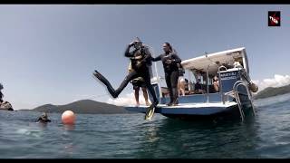 Mergulho na Ilha dos Ratos- Paraty