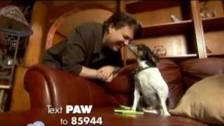 Animal Friends textPAW with Jimmy Krenn