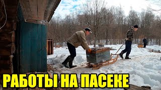 Два дня работ на пасеке. Вытаскиваем улья