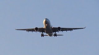 Diverted From LAX A330 Arrival at Cairns