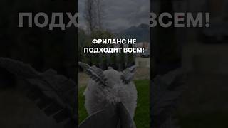 Подписывайся, здесь буду рассказывать об онлайн профессии и фрилансе всю правду🌚