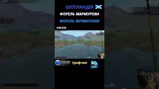 Fisher Online - Шотландія Форель Мармурова (Форель Мраморная) троф