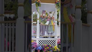 Easter Bunny at Magic Kingdom #waltdisneyworld #easterbunny