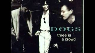 Dogs - Superfriend