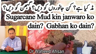 mud kin janwaro ko dain? Dr Waheed Ahsan