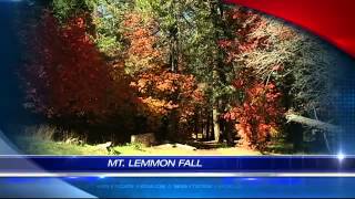 TEASE: Mt. Lemmon's Autumnal tones