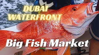 Dubai Waterfront Market, Fruits, vegetable, Fish - Dubai Big Fish Market, Deira Dubai