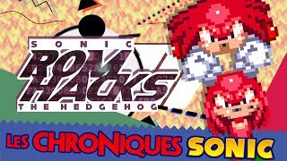 LES ROMHACKS SONIC 3 - LES CHRONIQUES SAUNIQUES #27 - PuNkY