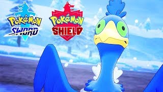 Pokémon Sword & Shield - Official Camp, Character Customization, And New Pokemon Reveal Trailer