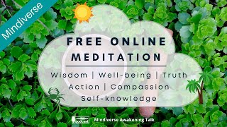 Honesty, fear | Meditation Online: understand the self (July 27 2020)