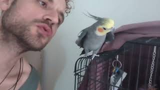 Elvis the Cockatiel ! Best Buds!