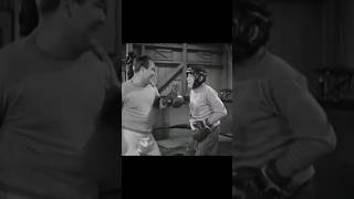 The Three Stooges l Shemp boxing style l Funny boxing moment l Part 5 #funnyvideo #short