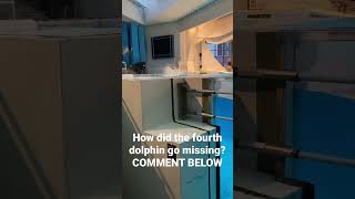 THE FOURTH DOLPHIN WENT MISSING???