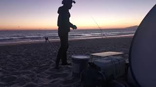 FIshing live stream Pesca lúdica em Portugal, pesca em direto! 🇵🇹 🇬🇧 chat