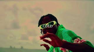 Wavelez OTT - cold(instrumental)