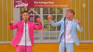 Die Schlagerboys - Ich habe einen kleinen Papagei - | IWS, 18.08.2024