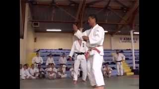 HIROSHI KATANISHI - KO UCHI GARI