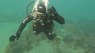 SCDiving | Learn to Scuba Dive with Us!