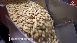 Preparation and packaging of almonds | Itac Professional