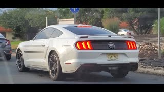 2021 Ford Mustang GT California Special and Lexus RX 350 with 2 Wheelbarrows Driving on the Highway