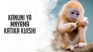 KANUNI YA MNYAMA KATIKA KUISHI