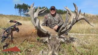 David's Red Stag archery hunt in New Zealand