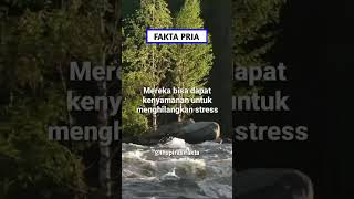 Motivasi | Ketika pria stress.... #inspirasi #motivasi #motivasihidup #faktapsikologi #sukses