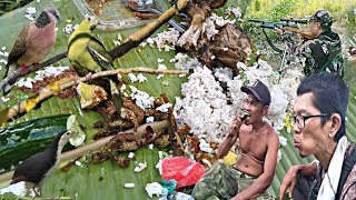 Berburu punai,tekukur,keruak dilokasi berbeda hasil buruan dimakan ditempat