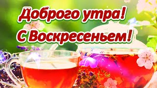 Доброго утра! С Воскресеньем! Красивое пожелание с Воскресным добрым утром! 🌞🌼🌼🌼🌼🌼🌼🌼🌼🌼🌼🌼🌼🌼🌼🌼🌼🌼🌼🌼🌼🌼🌼🌼