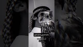 روحي على وضح النقا دربتها #شعر