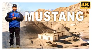 Mustang #VLOG 9 | Visit With| Babushahebjee |