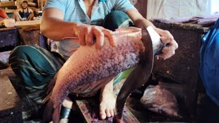 Unlimited Fish cutting skills in Local Market | Awesome Katla Fish Cutting | Fish Slicing | fish cut