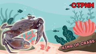 стрим King of Crabs | крабий бунт | стрим для своих