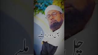 Murshid Sain #ishqemurshid #youtubeshorts #viral #video #shorts #sajjansain #IshQ-E-MuRshiD