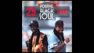 POSITIVE BLACK SOUL  AIN'T NO SUNSHINE ( PBS 25ANS)