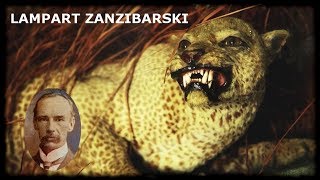 121# Kryptozoologia - Lampart Zanzibarski