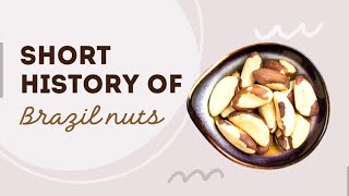 Short history of Brazil Nuts