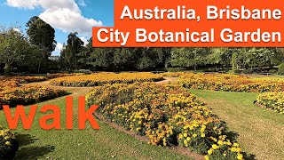 [4K] Walk - Brisbane, Australia - City Botanical Garden