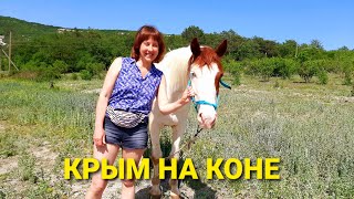 КРЫМ#12 Кони для Гардемаринов. Терновка.