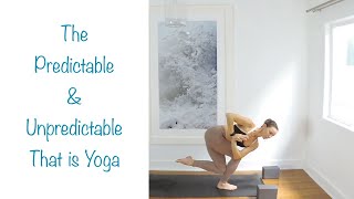 Yoga: The Predictable & Unpredictable That is Yoga