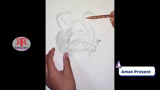 How to draw a Wolf howling II drawing Scenery of Moonlight Wolf step by step II Rudrax Twins 🐈🐅🐈